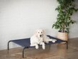 Pesä Hobbydog Iron Dark Blue XXL, 120x68x20 cm hinta ja tiedot | Pedit ja pesät | hobbyhall.fi