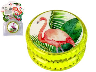 Jojo Flamingo, keltainen hinta ja tiedot | Kehittävät lelut | hobbyhall.fi