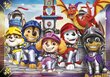 Palapeli 2 x 60 kpl Paw Patrol hinta ja tiedot | Palapelit | hobbyhall.fi