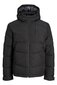 Miesten Jack & Jones takki 200g 12239001*01, musta 5715431279950 hinta ja tiedot | Miesten ulkoilutakit | hobbyhall.fi