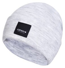 Icepeak hattu Harcourt 58808-8*205, vaaleanharmaa hinta ja tiedot | Naisten päähineet | hobbyhall.fi