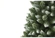 Joulukuusi luonnonvarrella Timantti, 220 cm hinta ja tiedot | Joulukuuset ja kranssit | hobbyhall.fi