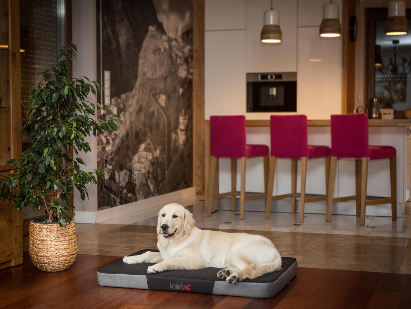 Hobbydog patja Premium Black/Dark Grey Ekolen XL, 120x80 cm hinta ja tiedot | Pedit ja pesät | hobbyhall.fi
