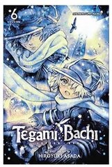 Viz Tegami Bachi GN Vol. 06 Pehmeäkantinen manga hinta ja tiedot | Novellit | hobbyhall.fi