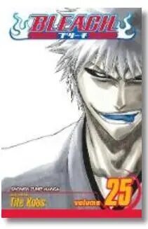 Viz Bleach Vol. 25 Pehmeäkantinen manga hinta ja tiedot | Sarjakuvat | hobbyhall.fi