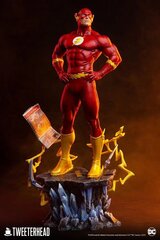 DC Comics The Flash hinta ja tiedot | Pelien oheistuotteet | hobbyhall.fi