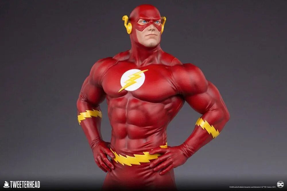 DC Comics The Flash hinta ja tiedot | Pelien oheistuotteet | hobbyhall.fi