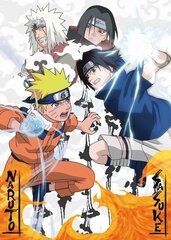 Naruto palapeli Naruto vs. Sasuke (1000 kappaletta) hinta ja tiedot | Palapelit | hobbyhall.fi
