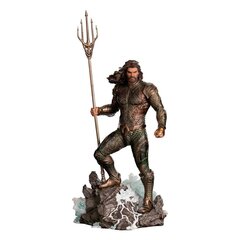 Justice League Aquaman BDS hinta ja tiedot | Pelien oheistuotteet | hobbyhall.fi