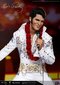 Elvis Presley Elvis Aaronas Presley hinta ja tiedot | Pelien oheistuotteet | hobbyhall.fi