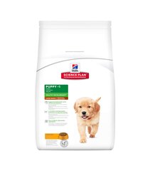 Hill's Science Plan Puppy Healthy Development Large Breed kuivaruoka suurten rotujen pennuille kana 16 kg hinta ja tiedot | Koiran kuivaruoka | hobbyhall.fi