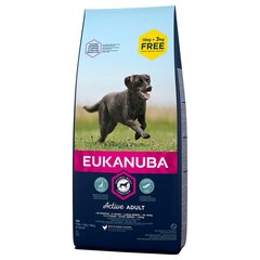 Eukanuba kuivaruoka koirille Adult, L, 18 kg hinta ja tiedot | Koiran kuivaruoka | hobbyhall.fi