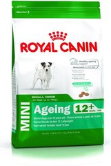 Royal Canin pienille iäkkäille koirille Mini Aging 12+, 3,5 kg hinta ja tiedot | Koiran kuivaruoka | hobbyhall.fi