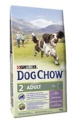 Purina Dog Chow lammas ja riisi, 14 kg hinta ja tiedot | Purina Koirat | hobbyhall.fi