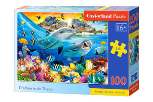 Castorland Dolphins in the Tropics -palapeli, 100 palaa hinta ja tiedot | Palapelit | hobbyhall.fi