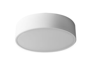 Lampun polttimo 30cm pyöreä valkoinen katto APP641-2C hinta ja tiedot | Riippuvalaisimet | hobbyhall.fi