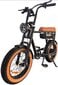 Sähköpyörä Tourwheel T6, 20", oranssi, 350W, 17,5Ah hinta ja tiedot | Sähköpyörät | hobbyhall.fi