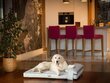 Hobbydog koiran patja Move Grey, M, 80x53 cm hinta ja tiedot | Pedit ja pesät | hobbyhall.fi