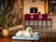 Hobbydog koiran patja Move Dove Grey, XL, 118x78 cm hinta ja tiedot | Pedit ja pesät | hobbyhall.fi