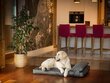 Hobbydog koiran patja Move Graphite, XL, 118x78 cm hinta ja tiedot | Pedit ja pesät | hobbyhall.fi