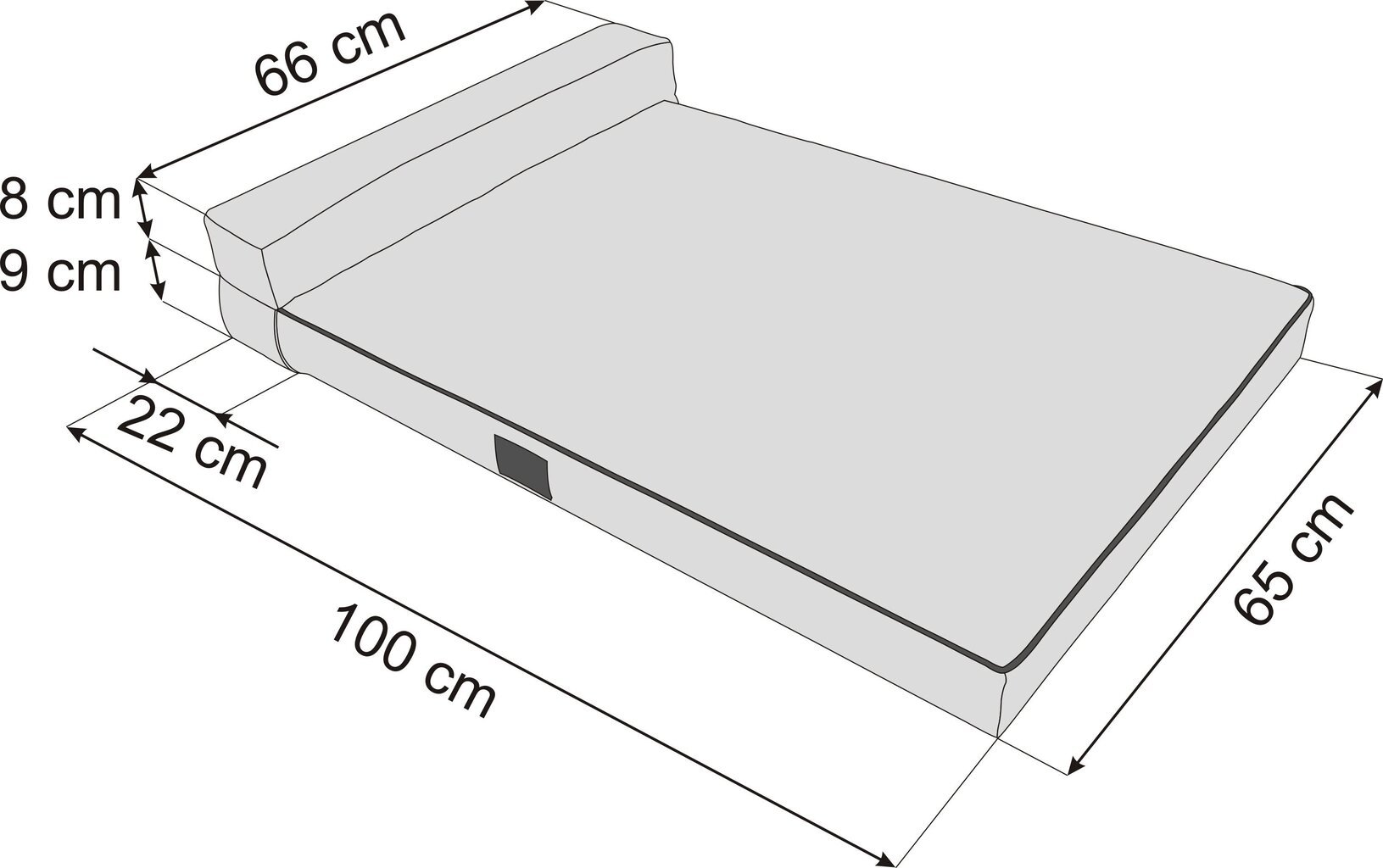 Hobbydog koiran patja Move Graphite, L, 100x65 cm hinta ja tiedot | Pedit ja pesät | hobbyhall.fi