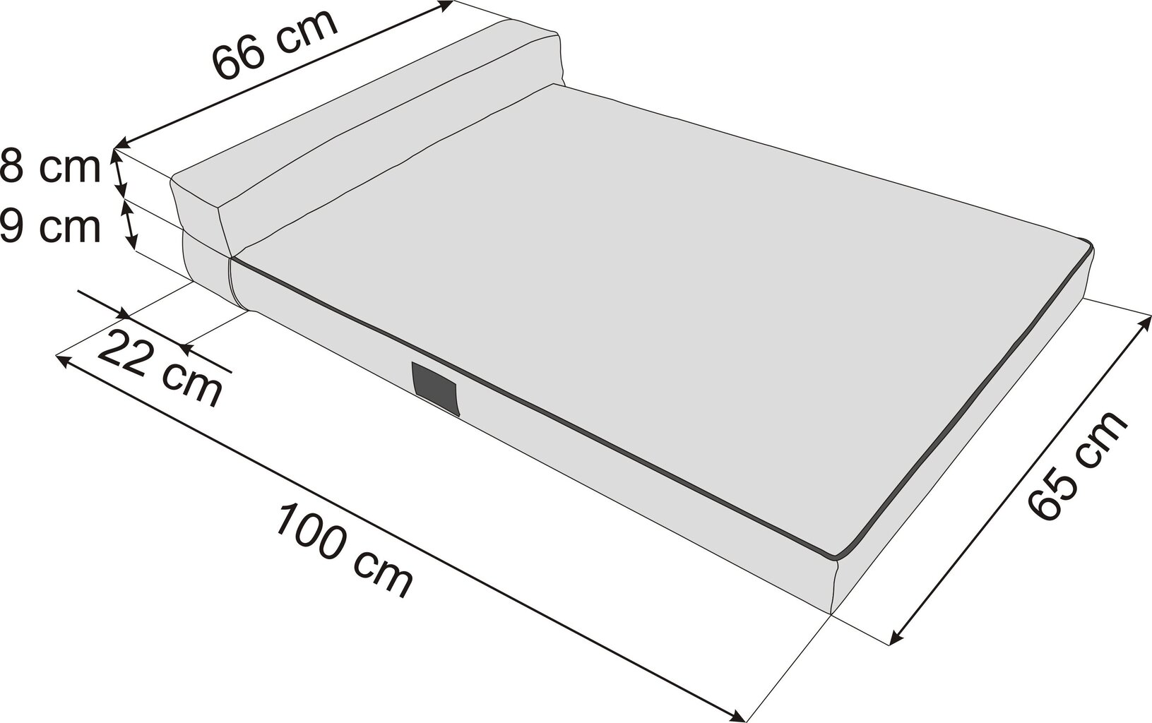 Hobbydog koiran patja Move Light Grey, L, 100x65 cm hinta ja tiedot | Pedit ja pesät | hobbyhall.fi