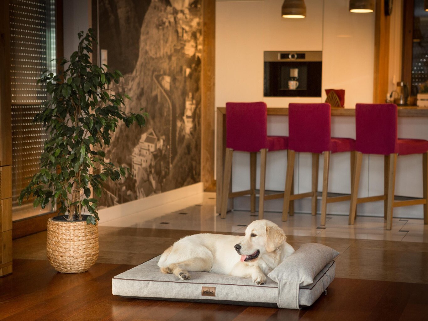 Hobbydog koiran patja Move Cappuccino, L, 100x65 cm hinta ja tiedot | Pedit ja pesät | hobbyhall.fi