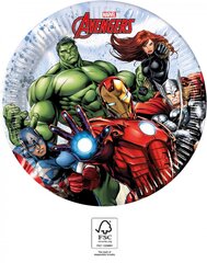 Avengers Infinity Stones Yksittäiset paperilautaset (8 kpl) 20 cm FSC hinta ja tiedot | Tarjoiluastiat ja aterimet juhliin | hobbyhall.fi