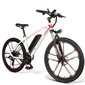 Sähköpyörä SAMEBIKE XWLX09, 20", musta, 500W, 10Ah hinta ja tiedot | Sähköpyörät | hobbyhall.fi