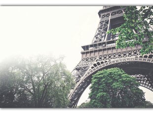 Taulu Eiffel-torni sumussa hinta ja tiedot | Taulut | hobbyhall.fi