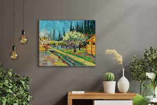 Reproduktio Kukkiva puutarha sypressien ympäröimä, Vincent Van Gogh hinta ja tiedot | Taulut | hobbyhall.fi