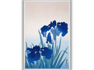 Jäljennys Irises (Ohara Koson) hinta ja tiedot | Taulut | hobbyhall.fi