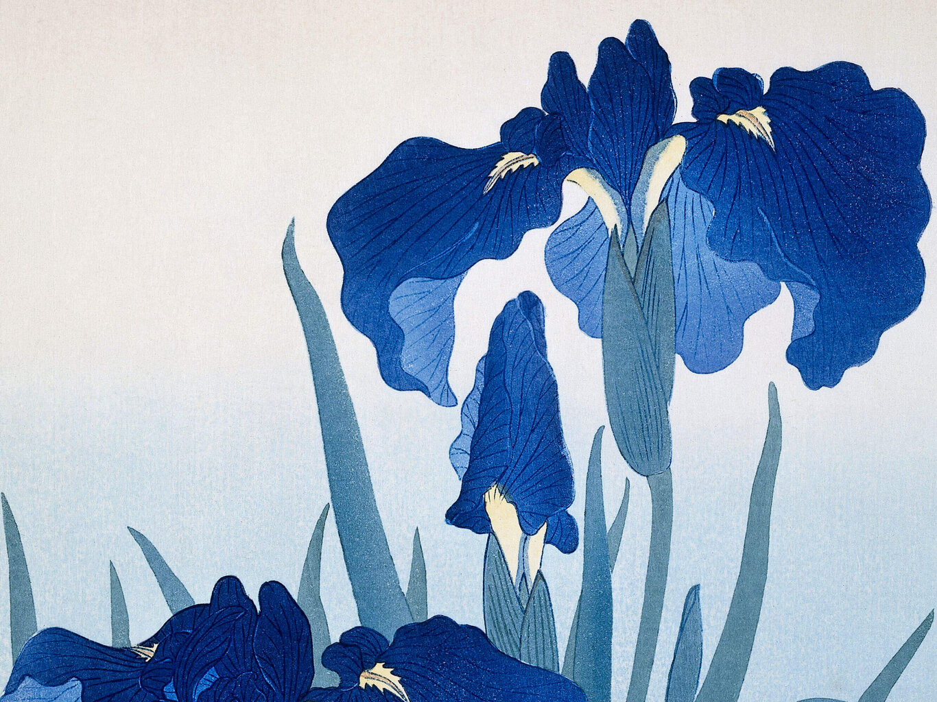 Jäljennys Irises (Ohara Koson) hinta ja tiedot | Taulut | hobbyhall.fi