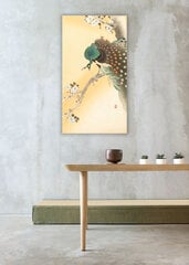 Riikinkukko kirsikankukan päällä (O'Hara Koson), 100 x 60 cm hinta ja tiedot | Taulut | hobbyhall.fi