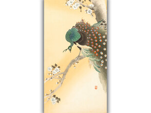 Riikinkukko kirsikankukan päällä (O'Hara Koson), 100 x 60 cm hinta ja tiedot | Taulut | hobbyhall.fi