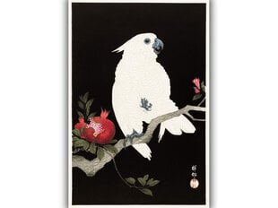 Kakadun ja granaattiomena (O'Hara Koson) Taulu, 100 x 70 cm hinta ja tiedot | Taulut | hobbyhall.fi