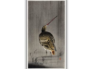 Taulu Snipe in the rain (Ohara Koson), 100 x 60 cm hinta ja tiedot | Taulut | hobbyhall.fi