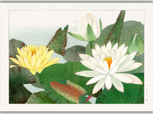 Taulu Vintage Botany: Lotus hinta ja tiedot | Taulut | hobbyhall.fi