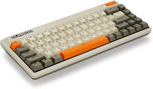 Durgod Fusion Original Cherry MX Speed Silver US hinta ja tiedot | Näppäimistöt | hobbyhall.fi