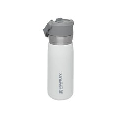 Stanley termospullo The IceFlow Flip Straw Water Bottle Go, 0.65 l, valkoinen hinta ja tiedot | Termoskannut ja termosmukit | hobbyhall.fi