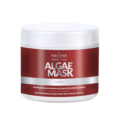 Algae Mask virkistävä levänaamio etanalla 160g hinta ja tiedot | Farmona Kasvojenhoitotuotteet | hobbyhall.fi