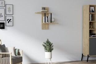 Asir-seinähylly, 40x60x20 cm, beige hinta ja tiedot | Hyllyt | hobbyhall.fi