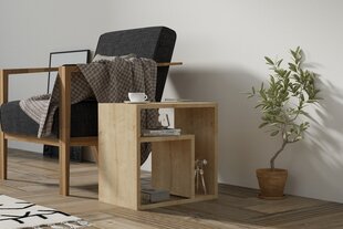 Asir-sivupöytä, 50x50x29,6 cm, beige hinta ja tiedot | Sohvapöydät | hobbyhall.fi