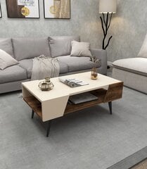 Asir-sohvapöytä, beige hinta ja tiedot | Sohvapöydät | hobbyhall.fi