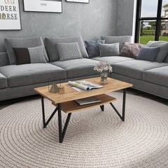 Asir-sohvapöytä, 42x90x50 cm, ruskea hinta ja tiedot | Sohvapöydät | hobbyhall.fi