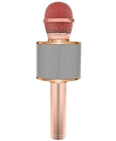 Karaoke-mikrofoni ääntä muuttavilla tehosteilla WS-858 hinta ja tiedot | Mikrofonit | hobbyhall.fi