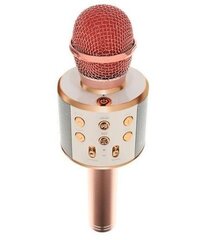 Karaoke-mikrofoni ääntä muuttavilla tehosteilla WS-858 hinta ja tiedot | Mikrofonit | hobbyhall.fi