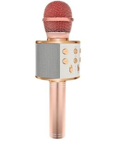 Karaoke-mikrofoni ääntä muuttavilla tehosteilla WS-858 hinta ja tiedot | Mikrofonit | hobbyhall.fi