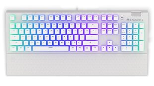 Endorfy Omnis RGB Pudding Edition hinta ja tiedot | Näppäimistöt | hobbyhall.fi