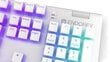 Endorfy Omnis RGB Pudding Edition hinta ja tiedot | Näppäimistöt | hobbyhall.fi